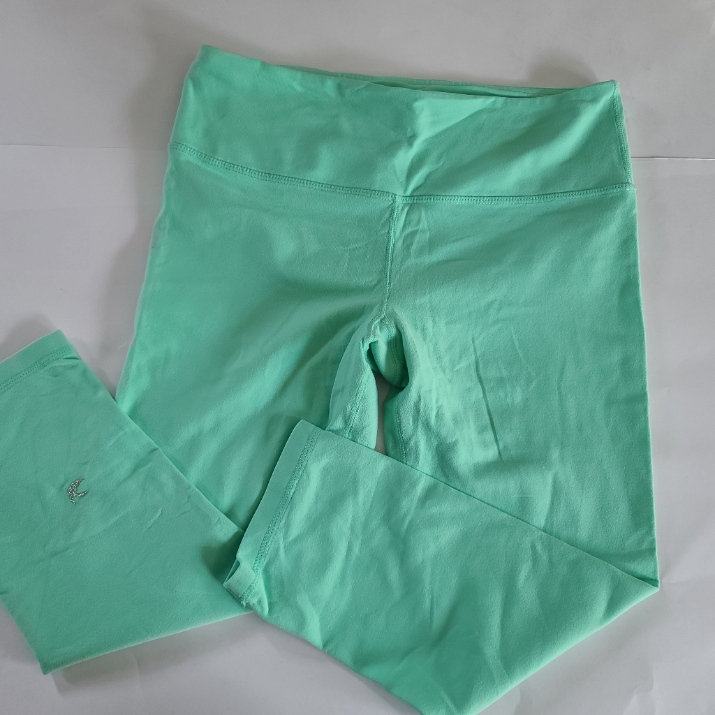 Mint Green Glyder Nylon Spandex Leggings Pants